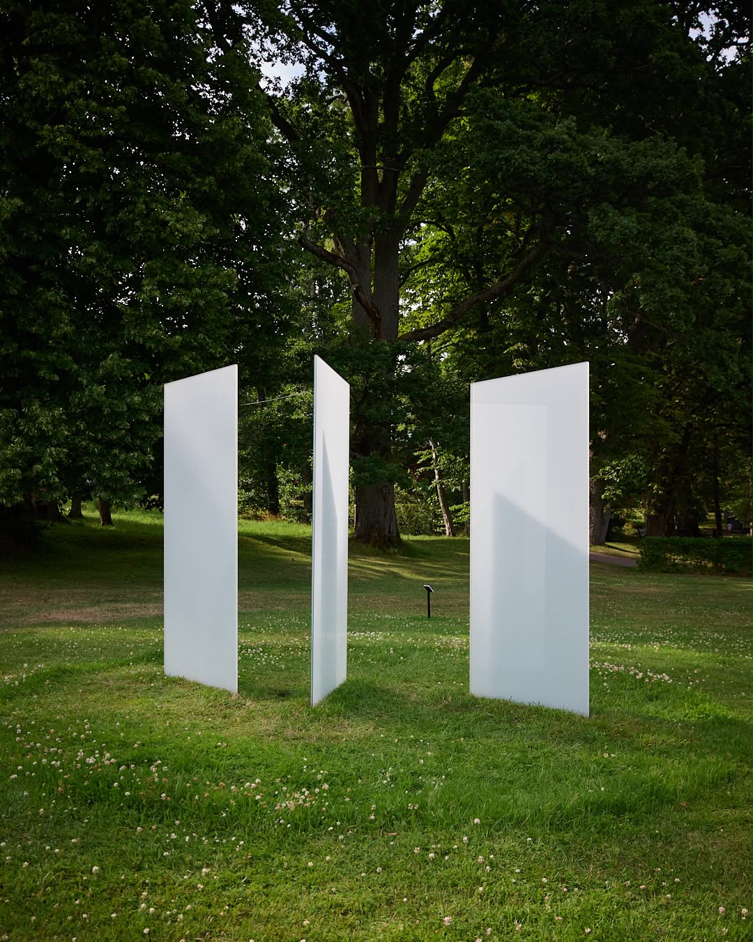 Tre vita skivor uppställda i park under ek